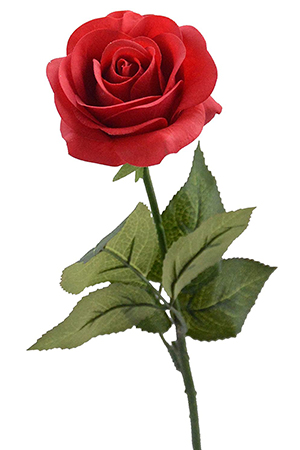 زهور