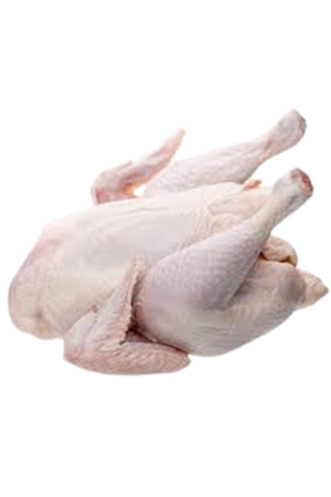 Organic Chicken