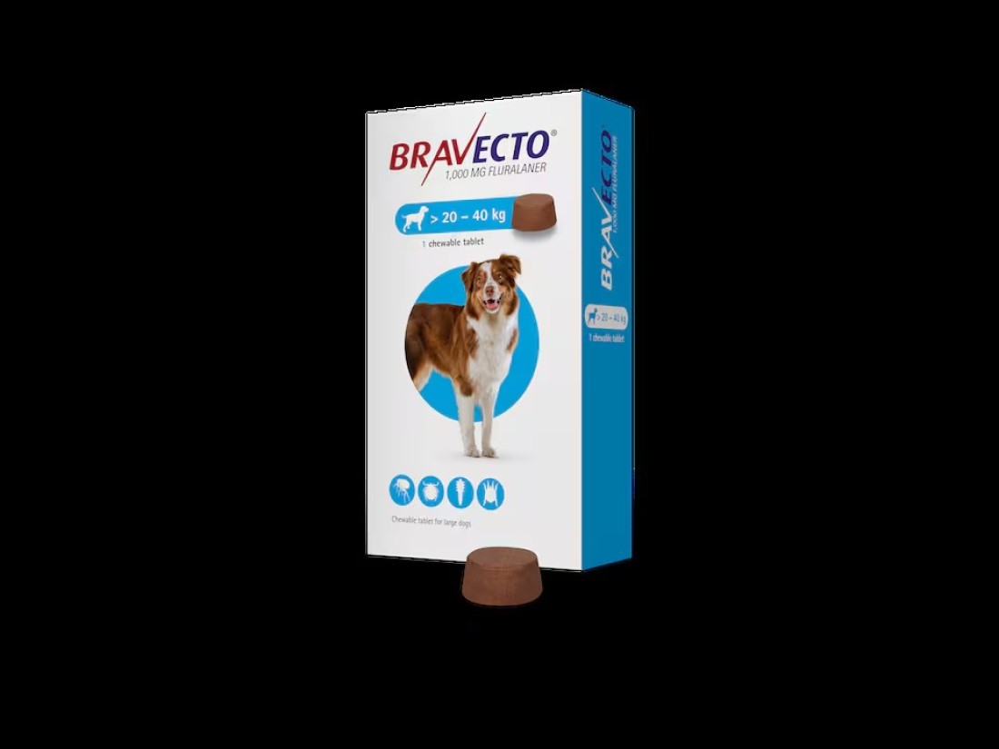 BRAVECTO Tick and Flea Chewable Tablet for dogs Pet Health Supplements 20-40 KG