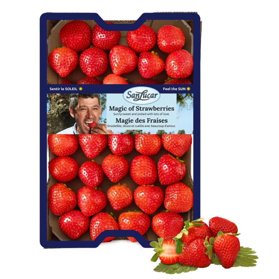Sanlucar Strawberry 1Kg
