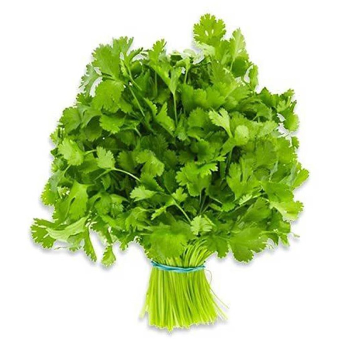 Coriander Import Bunch 100g