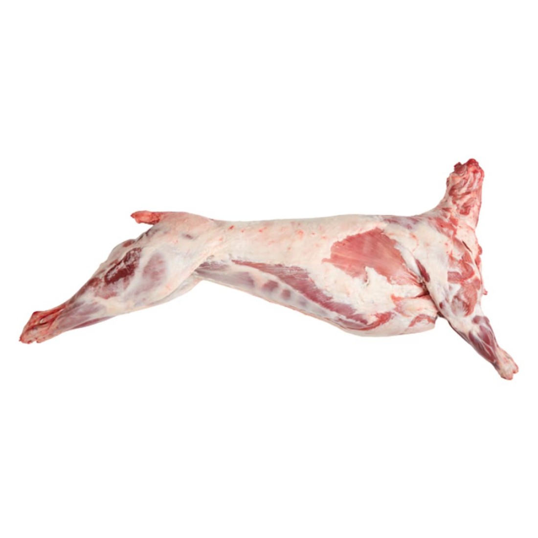 Kazakhstani Lamb Fat Tail Carcass