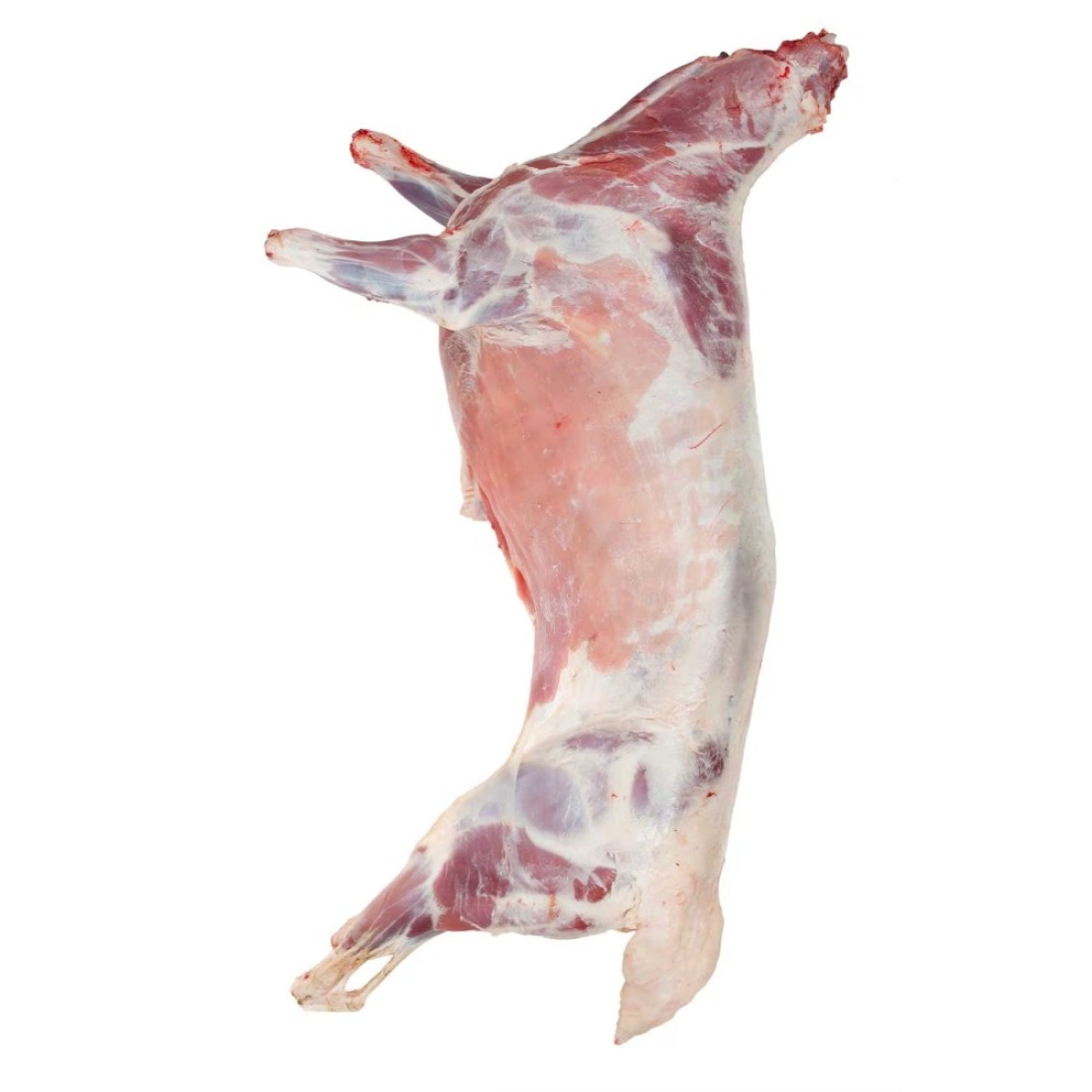 Kazakhstani Lamb Carcass