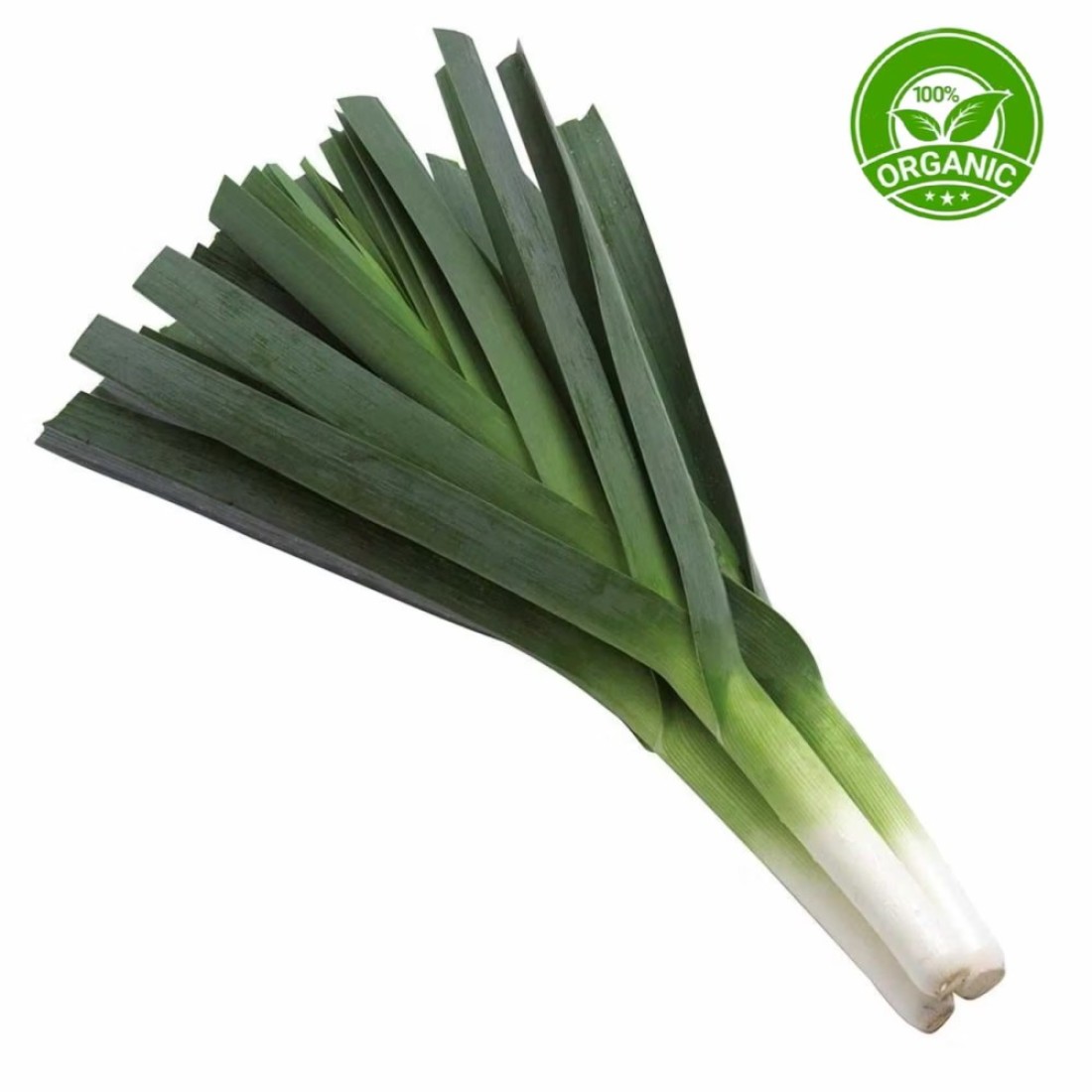 Organic Leek Ebf