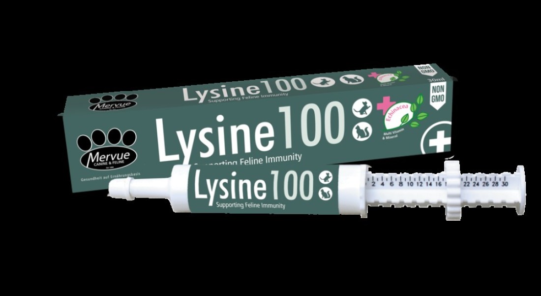 Mervue Lysine 100 Immune Support Supplement for Cats Immune Booster &amp; Respiratory Health Aid Echinacea-Enriched Paste 30ml