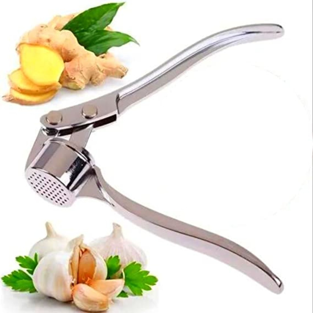 Stainless Ginger and Garlic Crusher, Garlic Chopper, Ginger Mincer, Ginger Squeezer Masher - Rustproof
