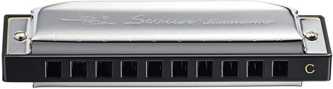 Mike Music Swan 10 Hole 20 Tones Harmonica Key of C Blues,Mini Harmonica for Beginners (C 10)
