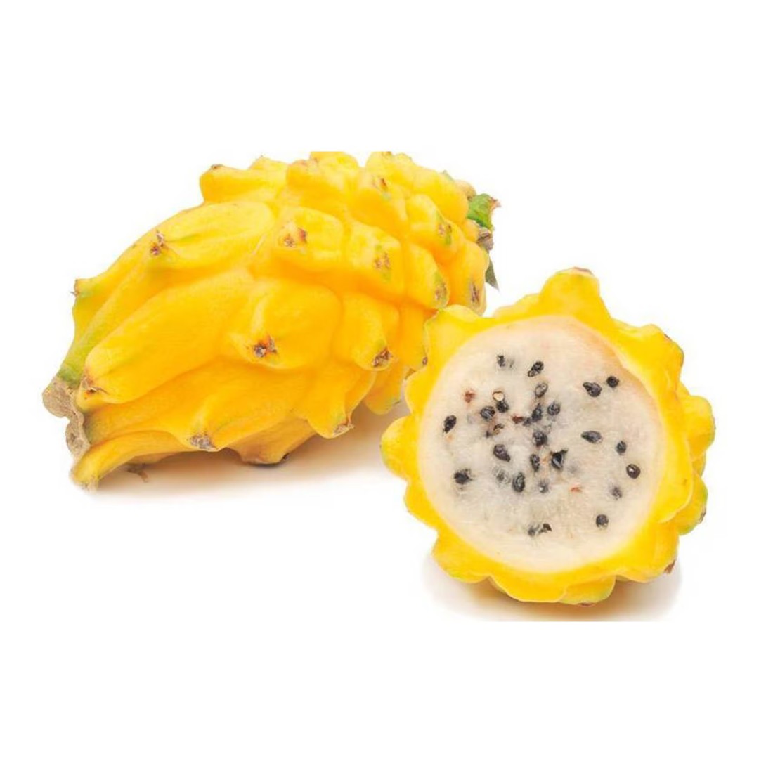 Phithaya Yellow