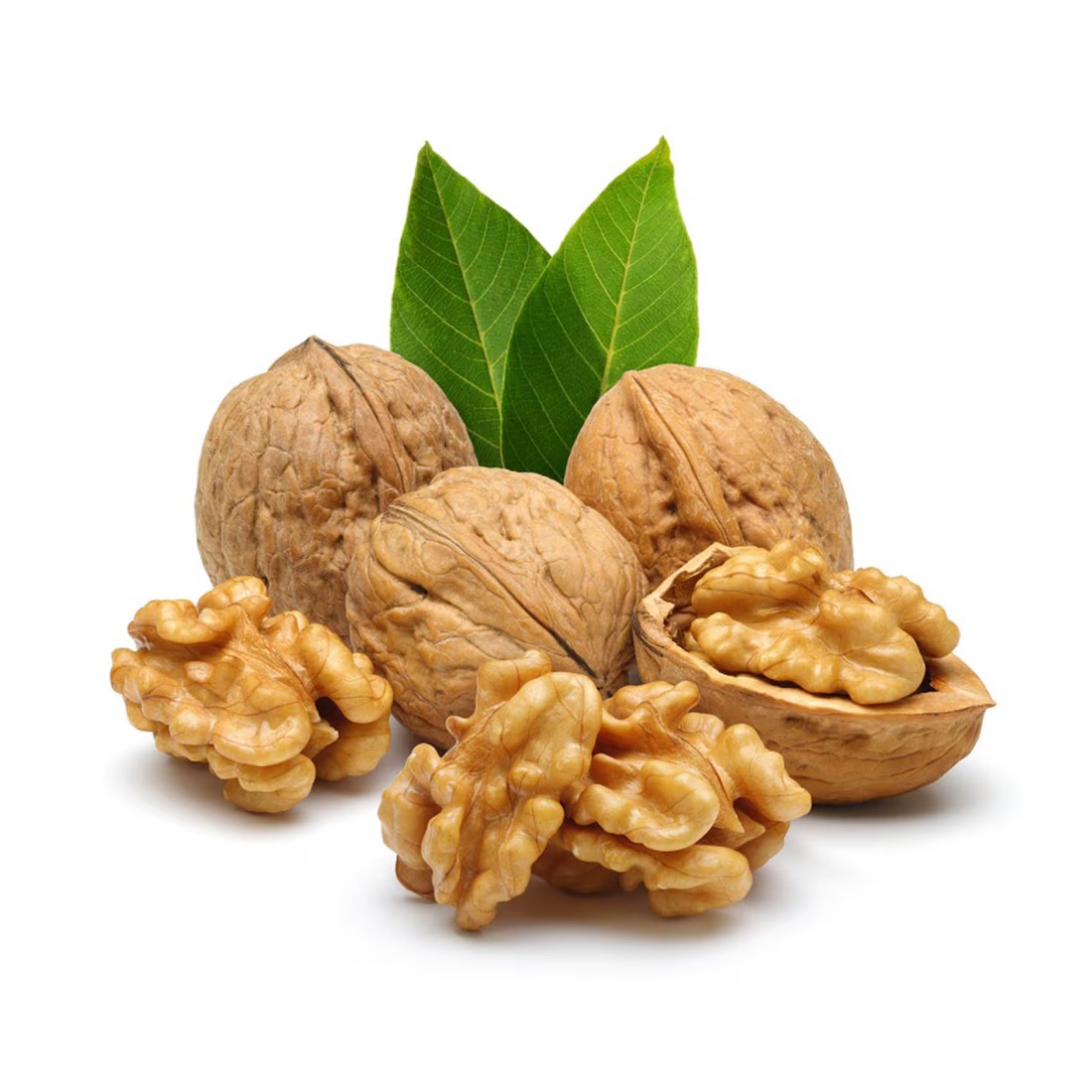 جوز