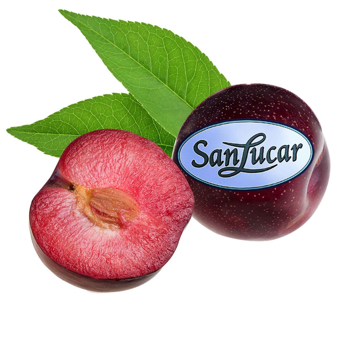 Sanlucar Plum