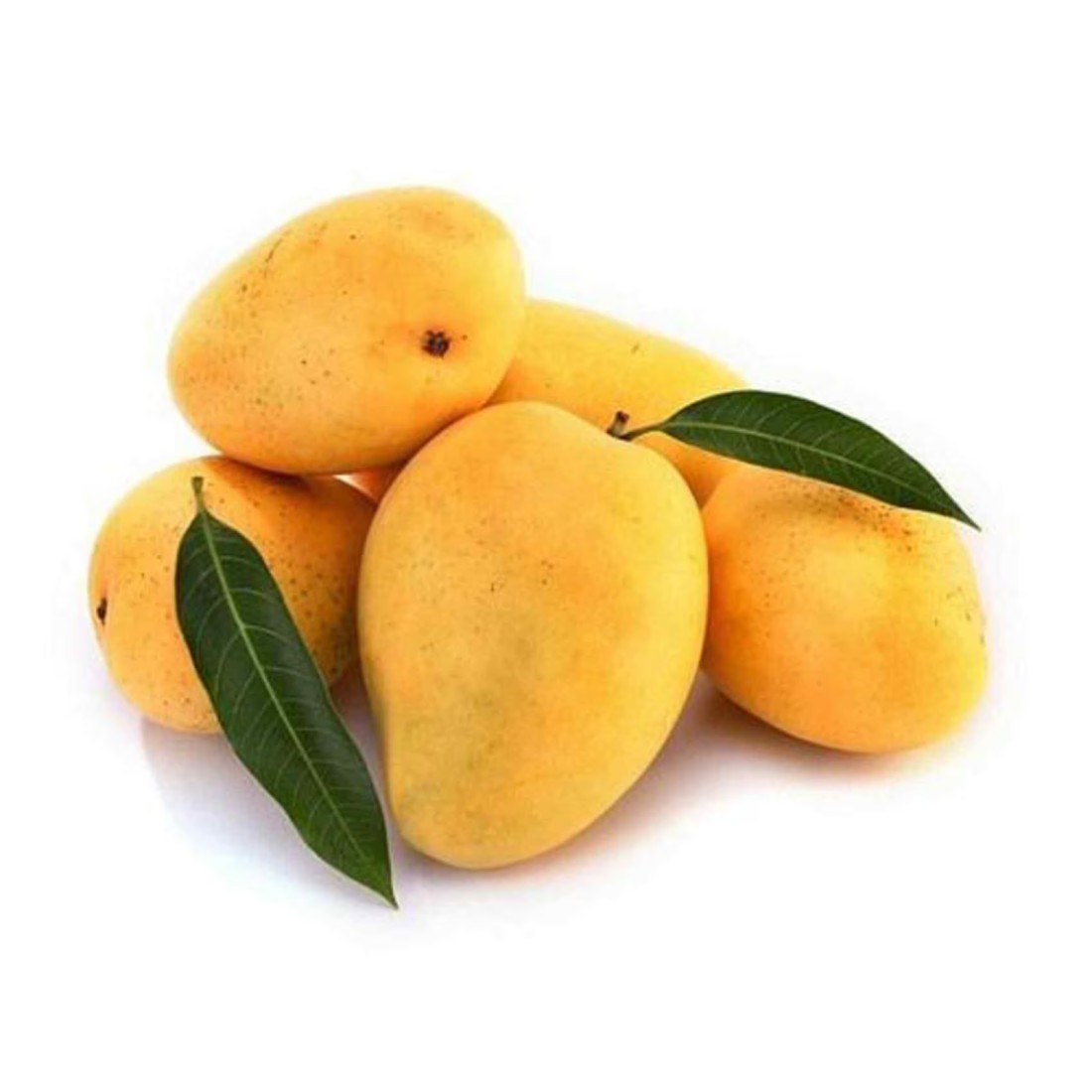 مانغو كيسار