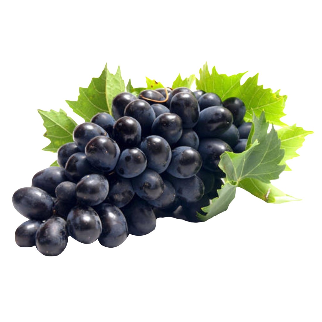 Black Grape