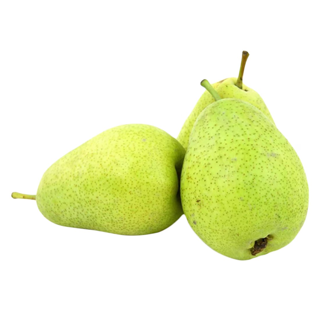 Sempre Pear