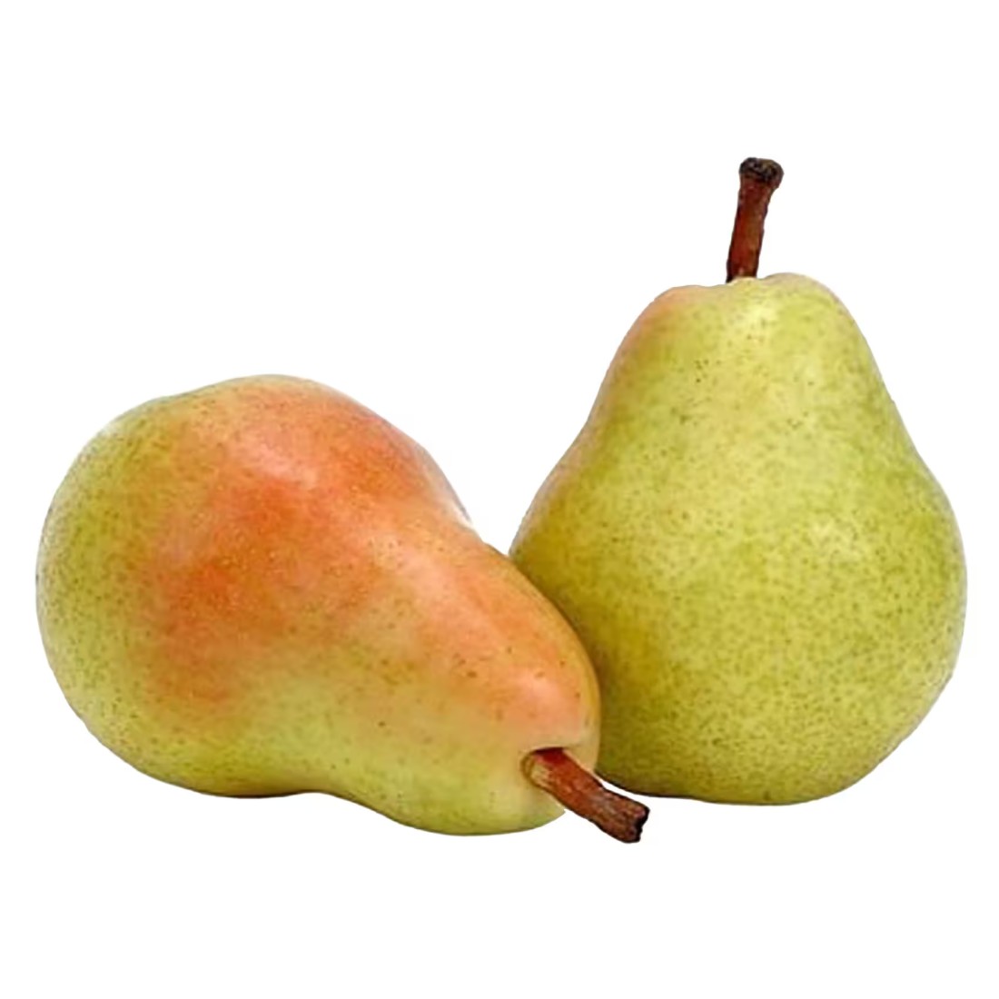 Coscia Pear