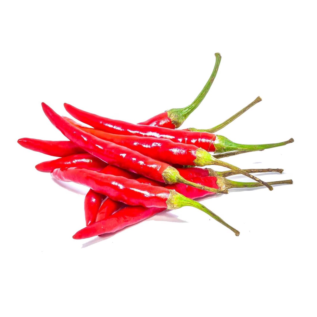 Red Bird Chili