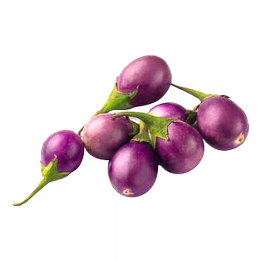 Eggplant Pink Round
