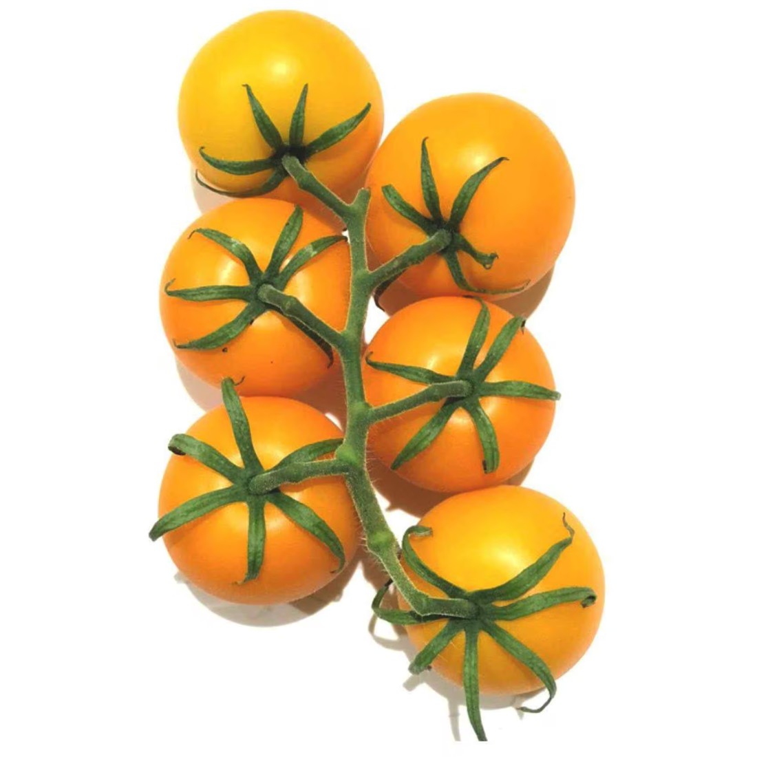 Orange Tomato Bunch