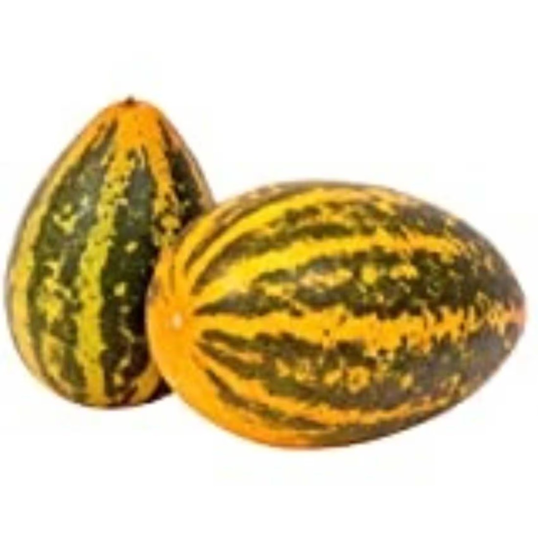 Yellow Cucumber