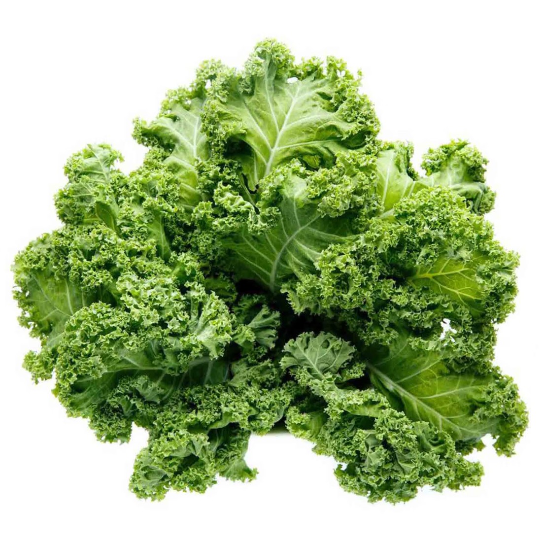 Curly Kale