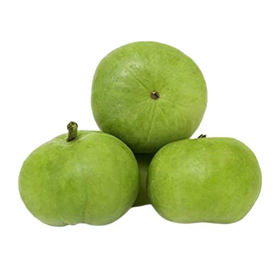 قرع أخضر وأبيض دائري