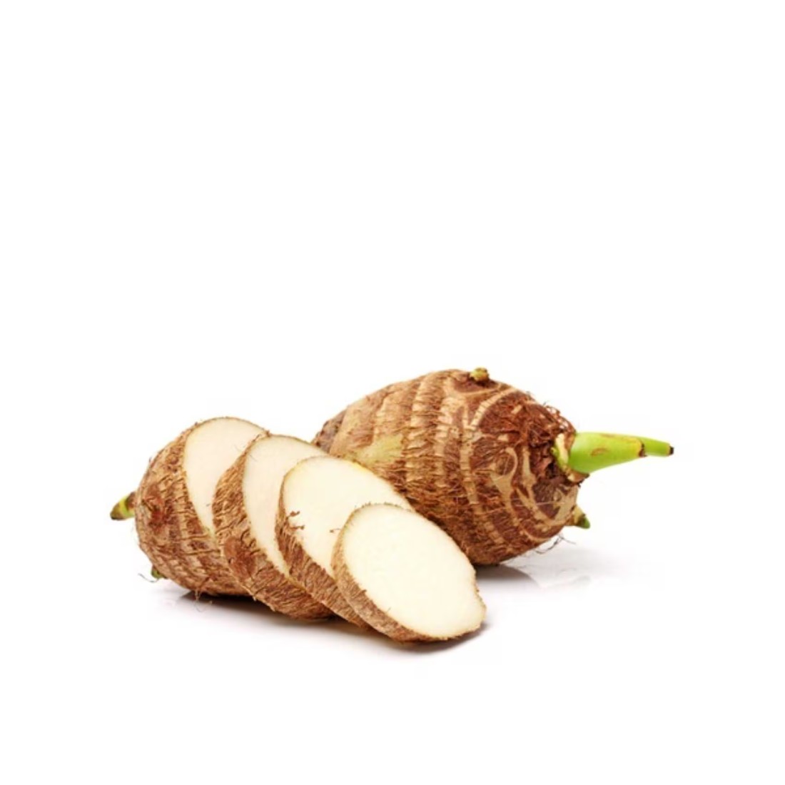 Big Colocasia (Aravi)
