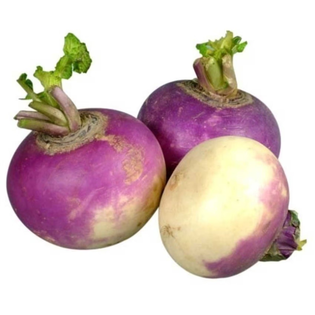 Turnip