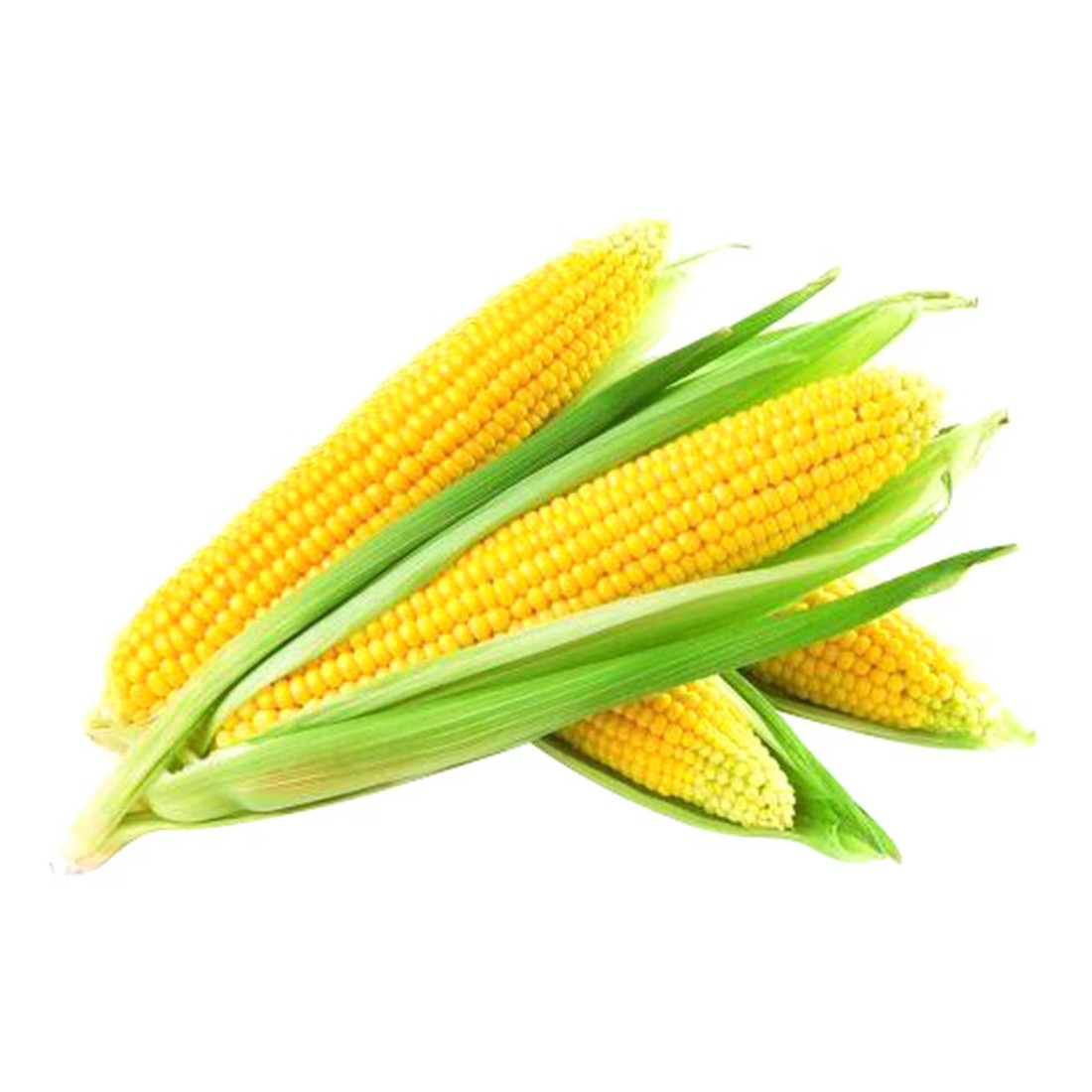 Sweet Corn