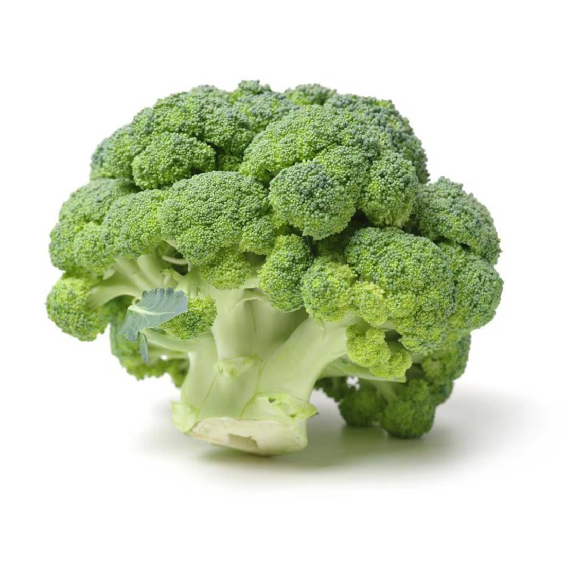 Broccoli Local