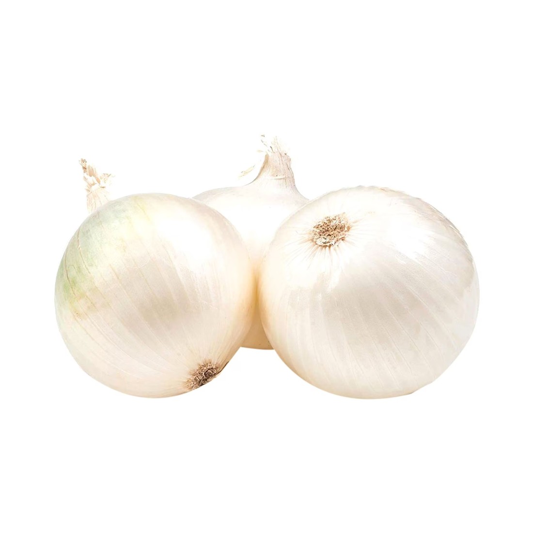 White Onion