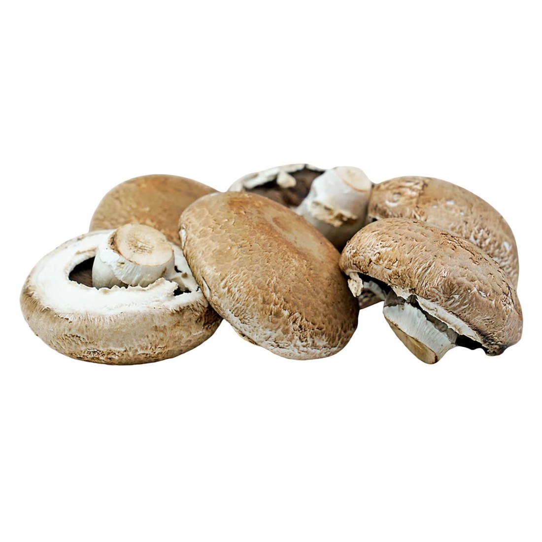 Portobello Mushroom