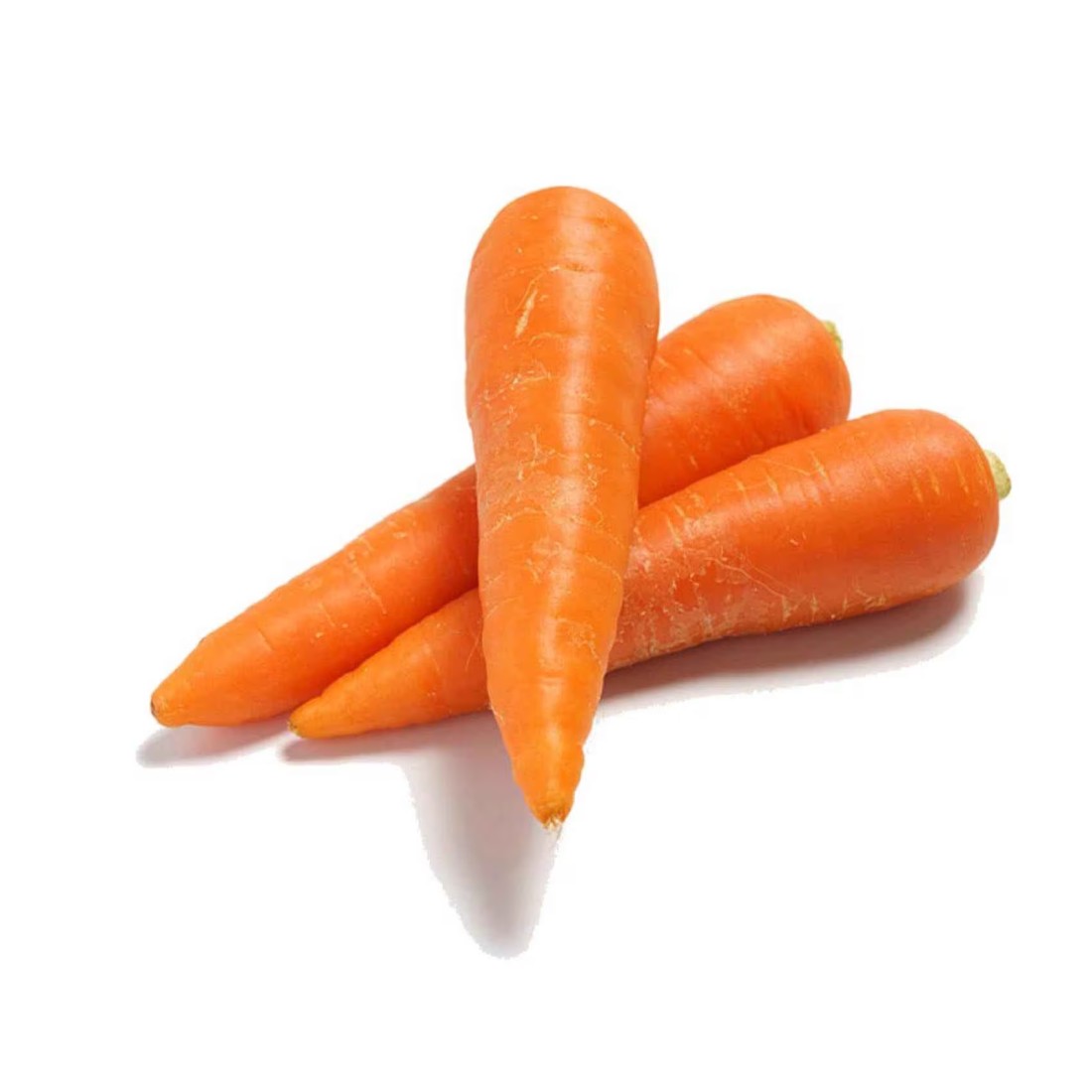 Loose Carrot