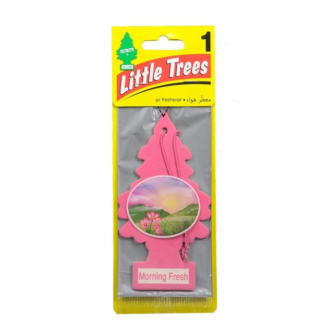 Little Trees Car Air Freshener (Morning Fresh)