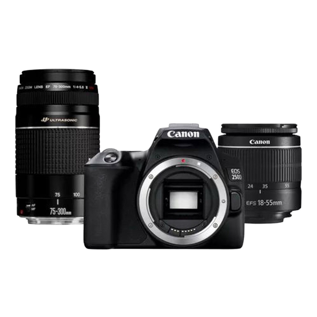 كانون كاميرا SLR EOS 250D مع عدسة EF-S 18-55 ملم و EF 75-300 مم - أسود-