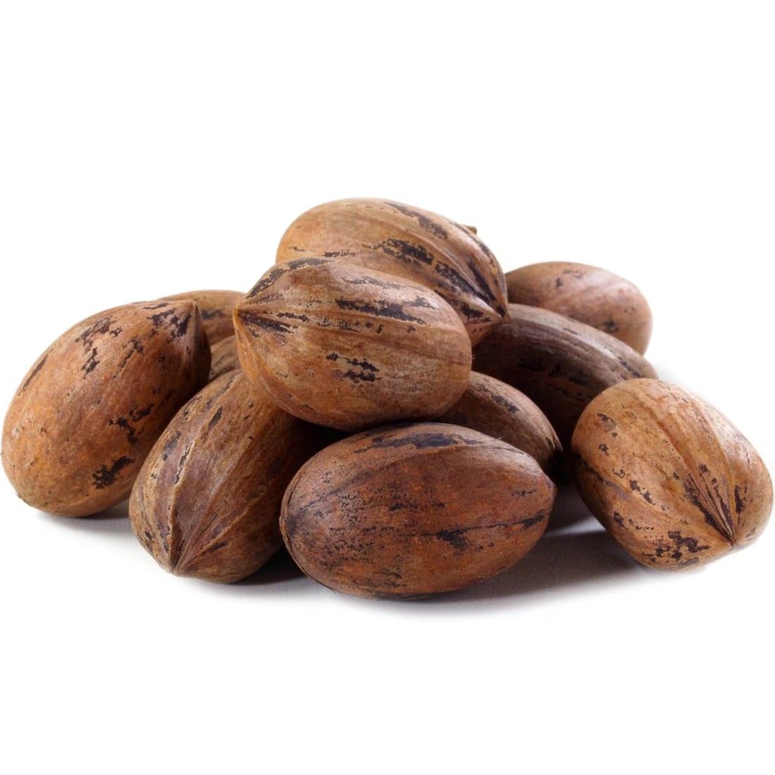 جوز البقان السائب