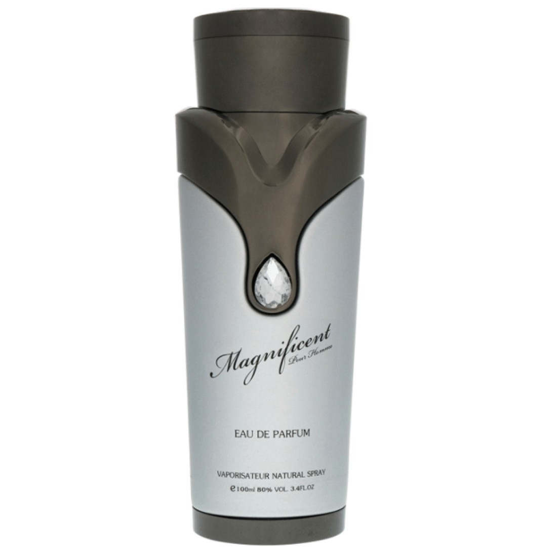 Armaf Magnificent Pour Homme For Men - Eau De Perfum