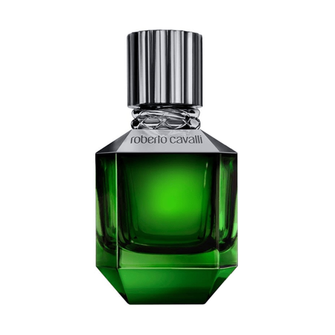 Roberto Cavalli Paradiso Found For Men- Eau de Toilette
