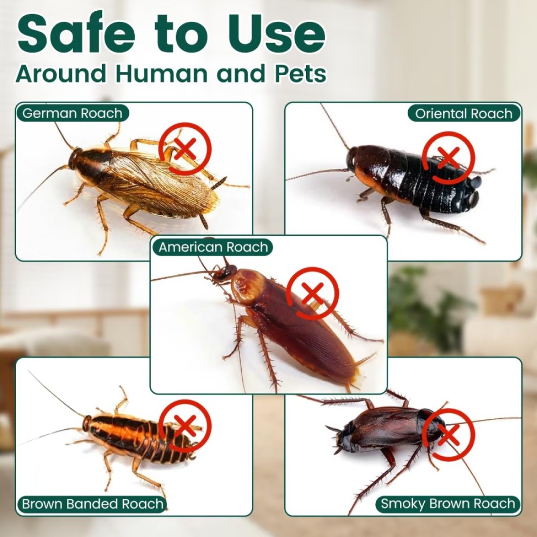 Advion Buy 2 Get 3 Cockroach Gel Bait Indoor &amp; Outdoor Use 30g