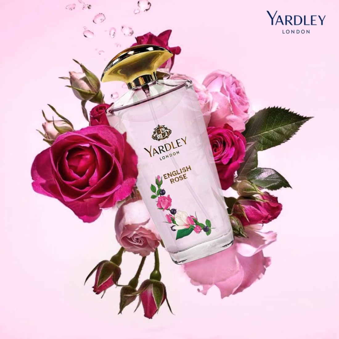 Yardley London English Rose Eau De Toilette Clear 120ml