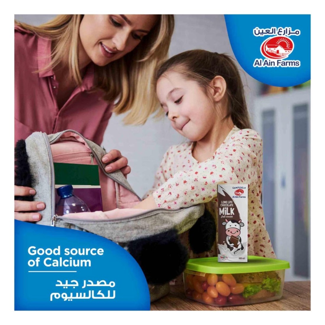 Al Ain Long Life Chocolate Milk 180ml Pack of 6