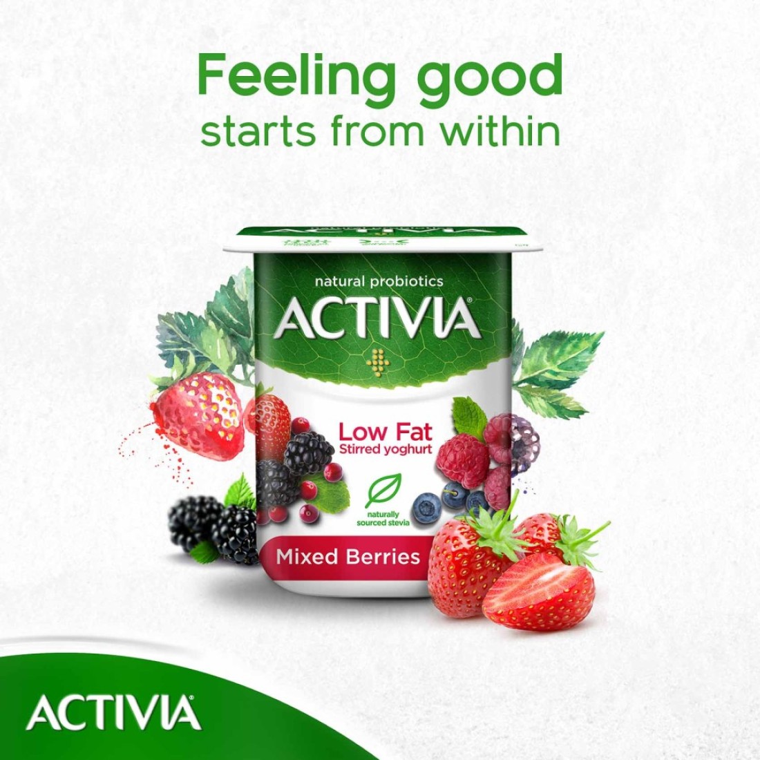 Activia Low Fat Mixed Berries Stirred Yoghurt 120g Pack of 8
