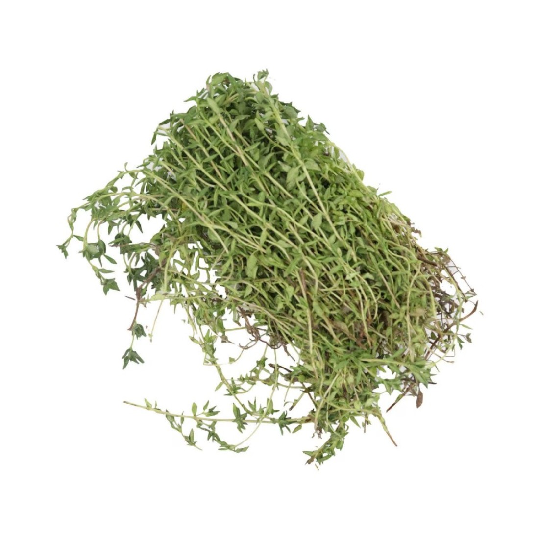 Thyme Punnet 20g