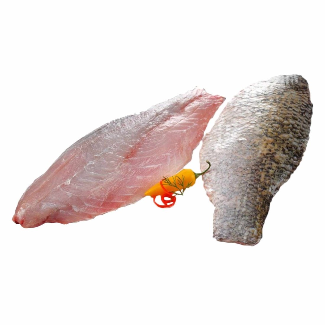 Fresh Sea Bass