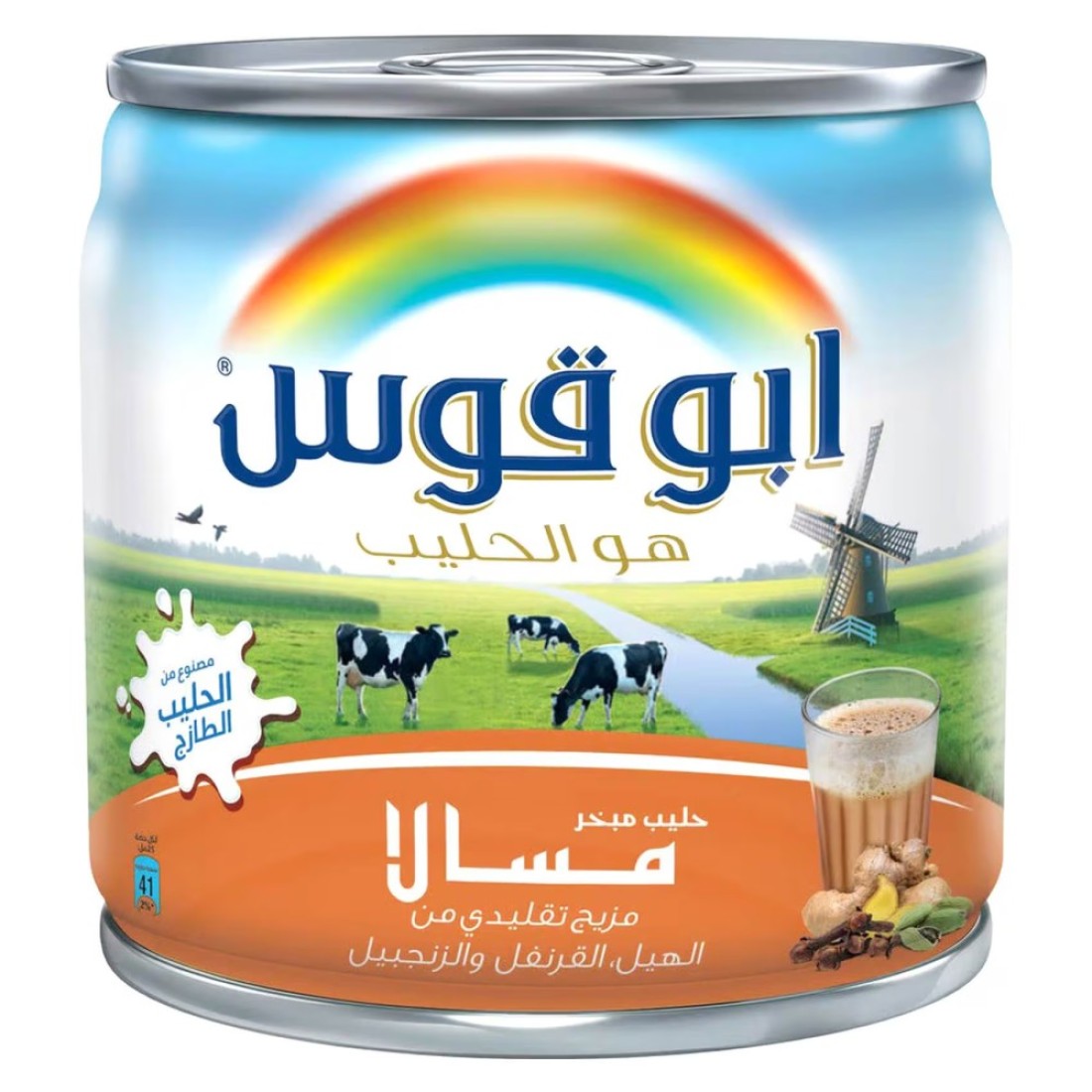 Rainbow Evaporated Milk Masala 170g