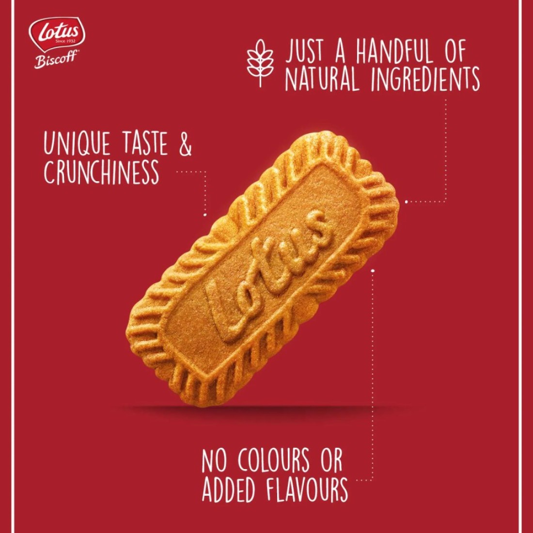 Lotus Biscoff Biscuit, 156g
