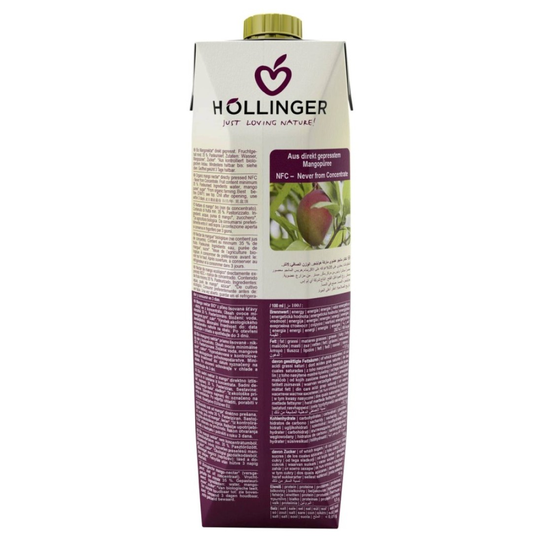 Hollinger Organic Mango Juice, 1L Pack of 2