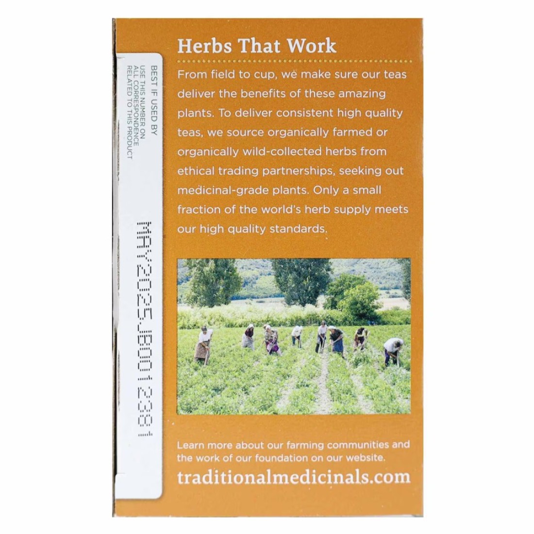 Traditional Medicinals Eaters Digest Peppermint 24g
