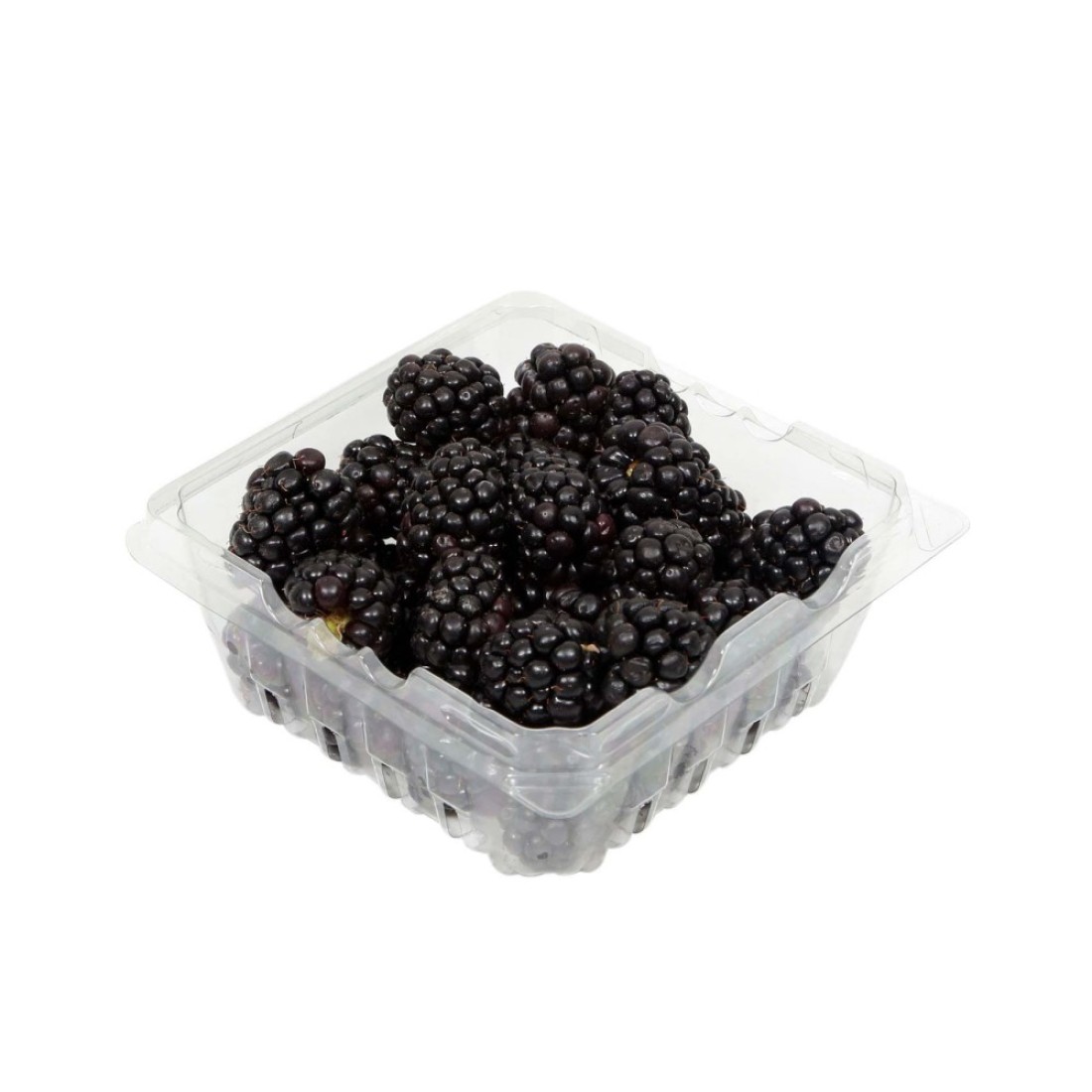 Driscoll&#39;s Organic Blackberries 170g