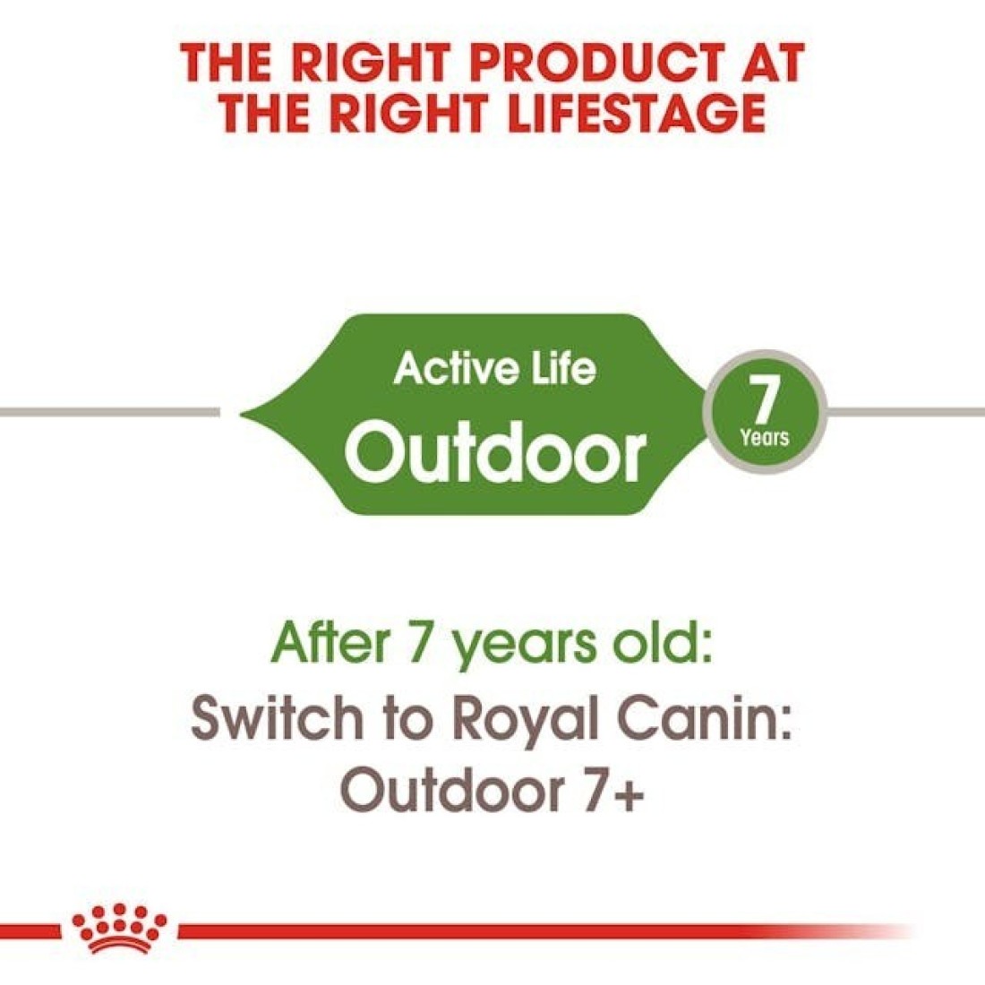 Royal Canin FHN Outdoor 2 kg Feline Breed Nutrition Cat Food
