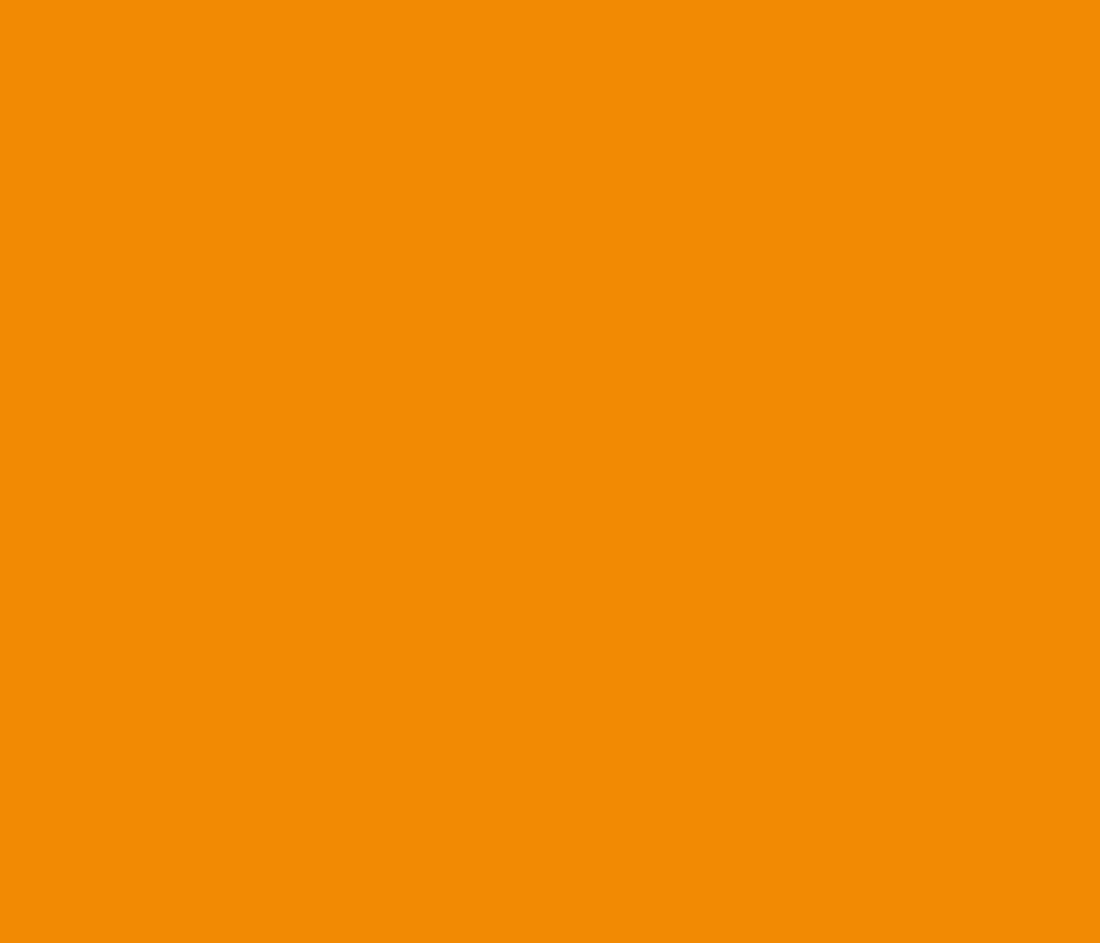 Montana Colors MTN PRO Erasabable Chalk Paint - Orange - Spray Paint Matt 400ml