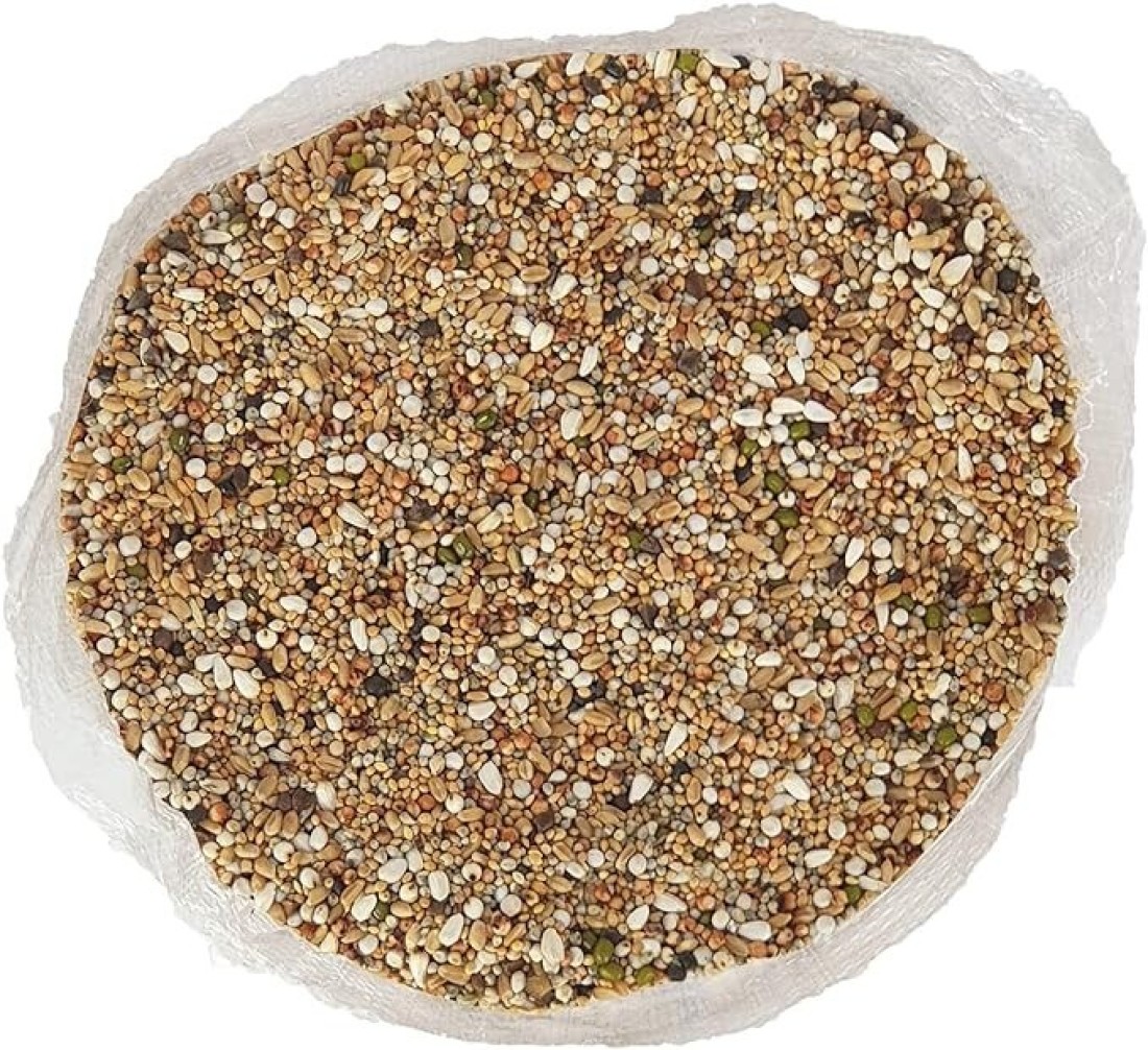 Egardenkart&reg; Economic Bird Food Mix wild bird food Small bird Pigeon Seed mix (10, Small Seeds Mix)
